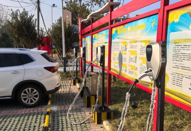 1735174810102797.jpg 10.jpg